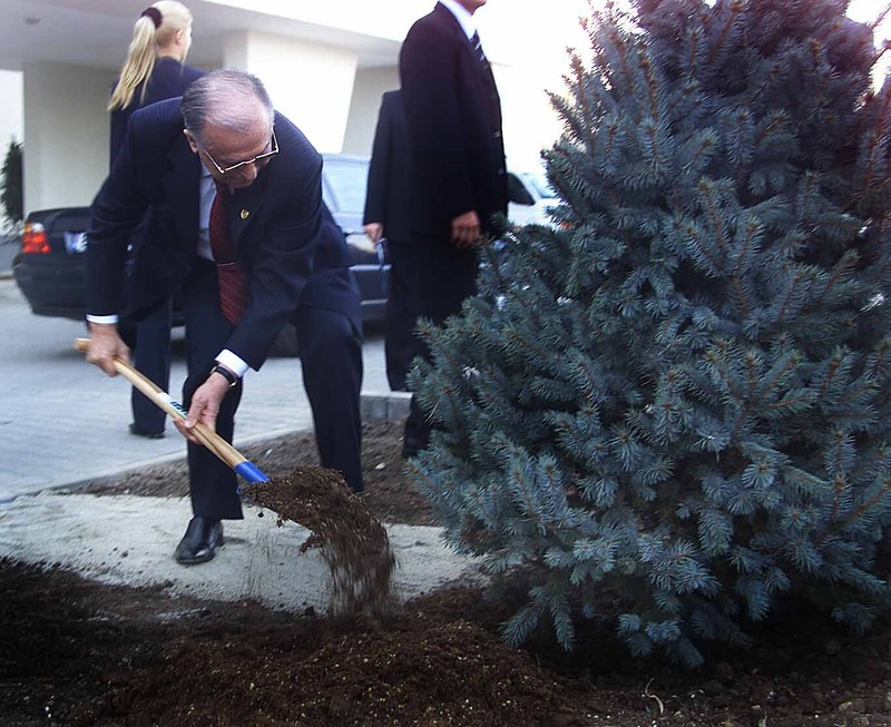 Ion Iliescu a dat o mână de ajutor la plantarea unui brad în fața Universității Ecologice| FOTO hepta.ro / Mediafax (Răzvan Chiriță)