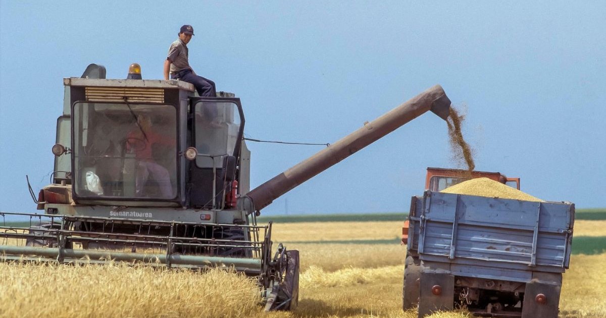 România, Tulcea, recoltarea mecanică a cerealelor, cu o combină de recoltat, un femier este urcat și sta așezat pe utilaj, iar un altul este in cabină