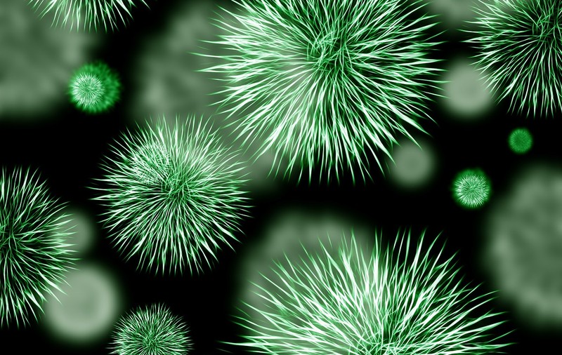 Un produs alimentar care poate fi contaminat cu bacteria Listeria a fost retras de la rafturi. Cât este de periculos