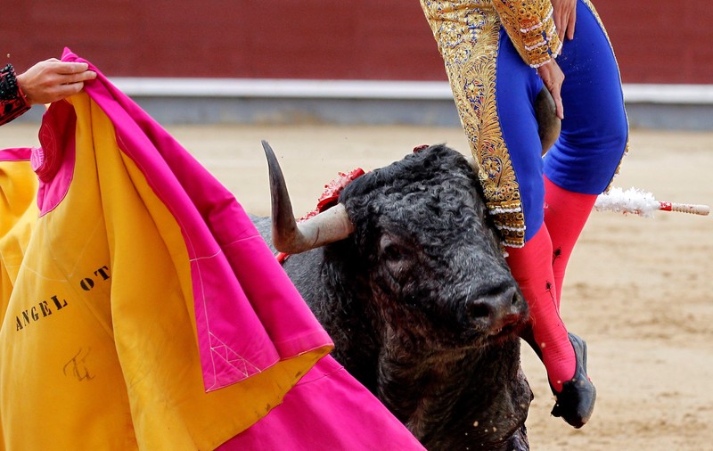 FOTO | Momentul șocant în care un matador este împuns de un taur furios. Omul a fost rănit grav