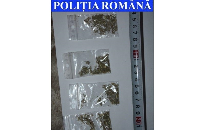 Zeci de polițiști și mascați au descins într-un bloc de interlopi din Focșani pentru destructurarea unei rețele de traficanți de droguri