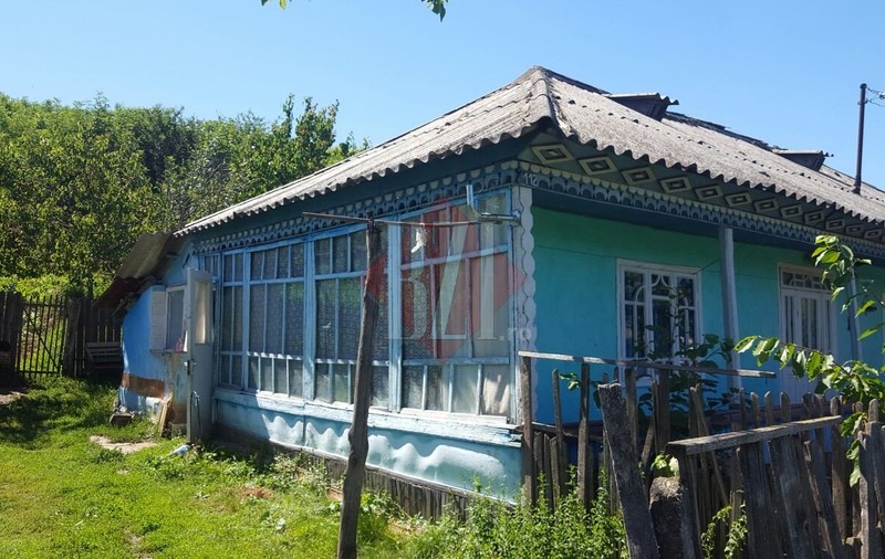 O fetiță și-a văzut mama murind. Femeia a fost omorâtă în bătaie