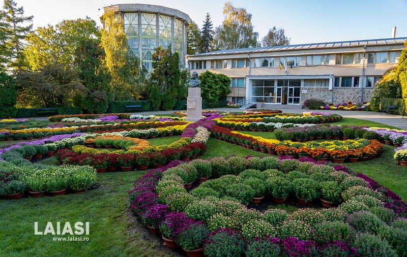 Cea mai așteptată expoziție de flori de toamnă s-a deschis în Grădina Botanică din Iași. Zeci de vizitatori au venit să admire explozia de culori