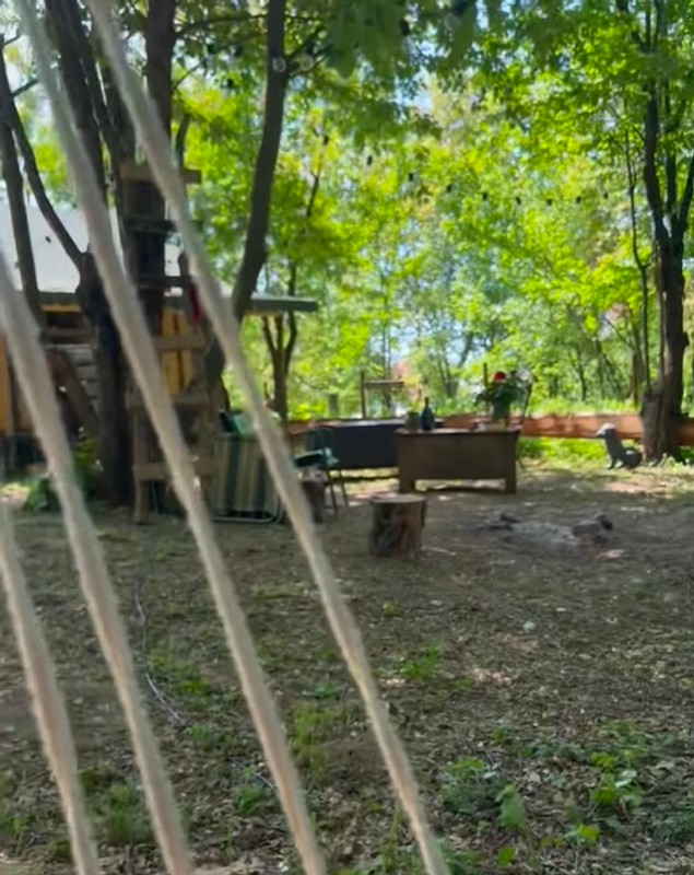 Cum arată cabana din pădure a Mihaelei Bilic după ce i-a pus acoperișul. Și-a amenajat și curtea, unde are hamac