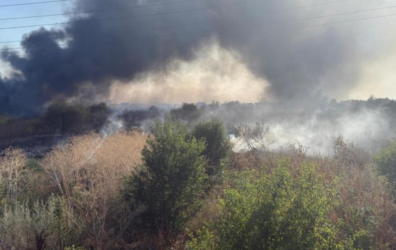 Mesaj Ro-Alert emis după ce un incendiu de vegetaţie a izbucnit în Clinceni, judeţul Ilfov