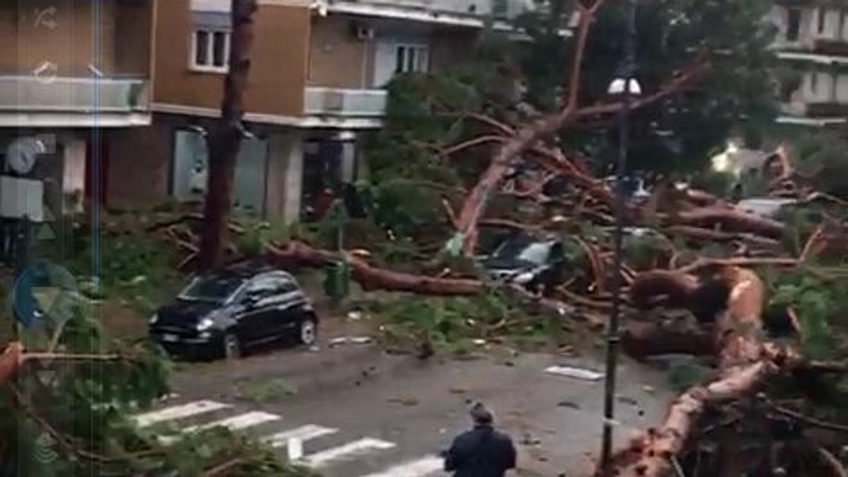 Imagini apocaliptice din timpul furtunii care a lovit Italia, în orașul Terracina. O stradă întreagă acoperită de arbori seculari