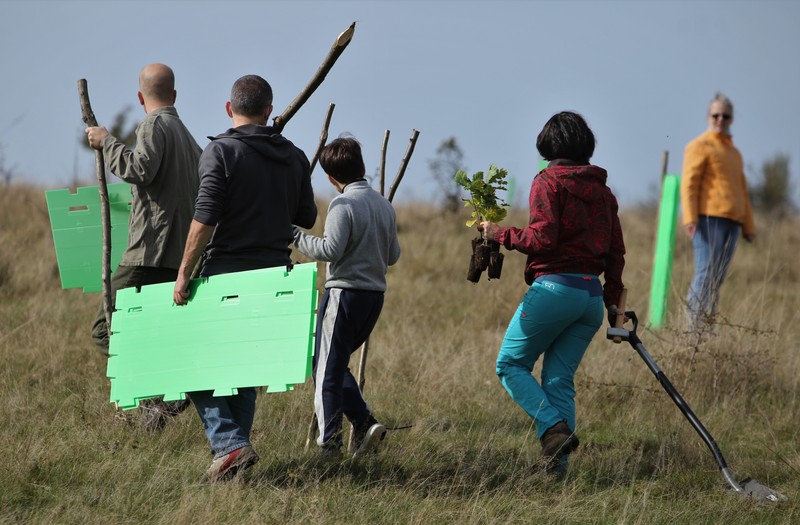 Voluntarii au venit în familie la plantare