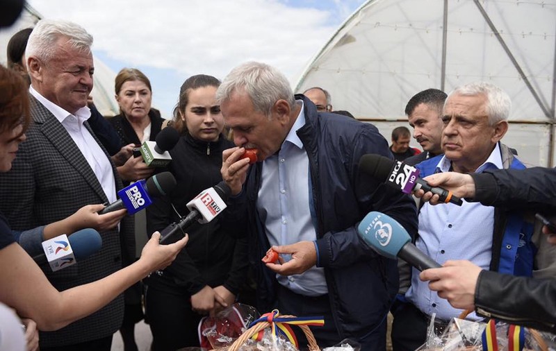Dragnea spune că există o mafie a importului de legume şi fructe, protejată din interiorul unor instituții