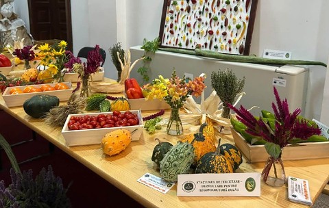 legume-fructe-institulul-de-cercetrae-buzau