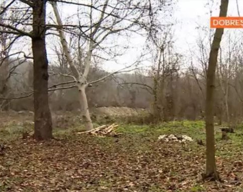 Imagini cu casa de la țară a lui Bodo de la Proconsul. A transformat discoteca din sat în loc de joacă pentru copii