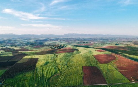 Cât costă un hectar agricol și ce venit aduce arenda. Impozitul reținut proprietarului reprezintă 8% din brut
