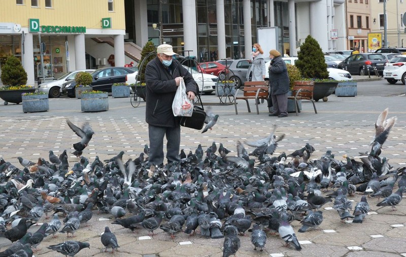 Numărul porumbeilor crește în București. Ornitolog: vina e a noastră, pentru că le dăm de mâncare