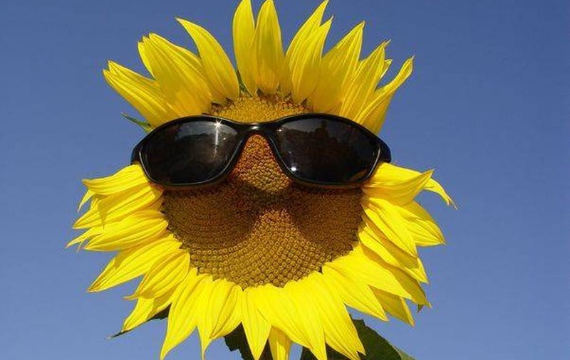 Cum va fi VREMEA ÎN URMĂTOARELE DOUĂ SĂPTĂMÂNI? PROGNOZA METEO