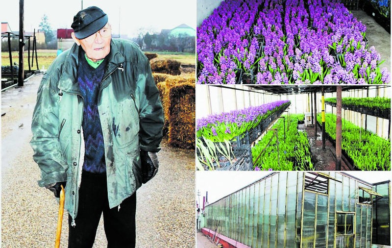 Cel mai bătrân florar din Arad nu renunță la meserie nici la aproape 92 de ani. Conduce afacerea familiei începută în anii ‘20