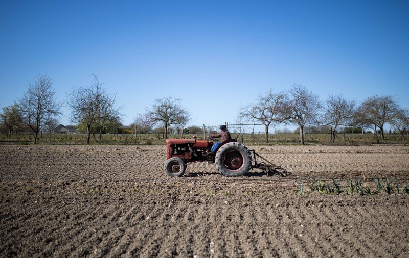 Fermierii să poată recupera 50% din investiţii pe o perioadă de 10 ani, fără plata de taxe şi impozite locale la buget: pachetul PSD pentru agricultură