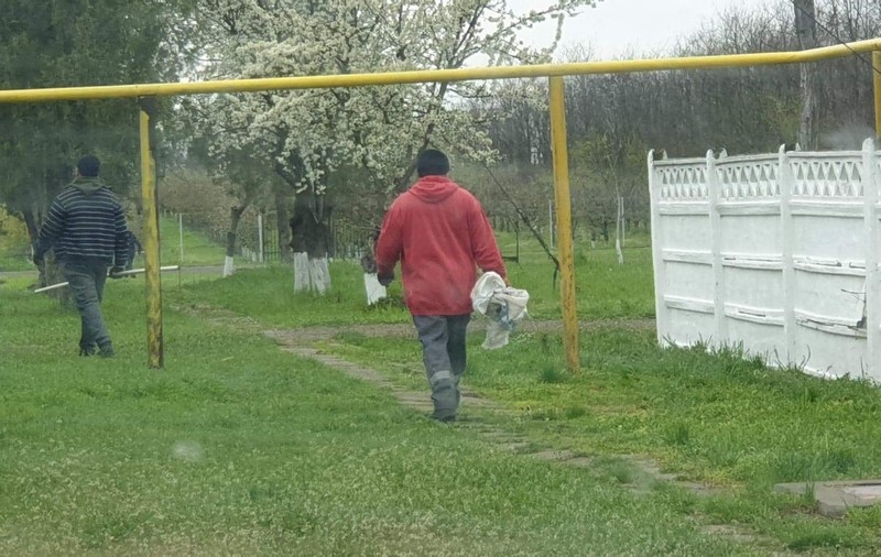 Zeci de câini au fost aruncați la groapa de gunoi a unei mănăstiri din Galați. Animalele, băgate în saci și lăsate să se asfixieze