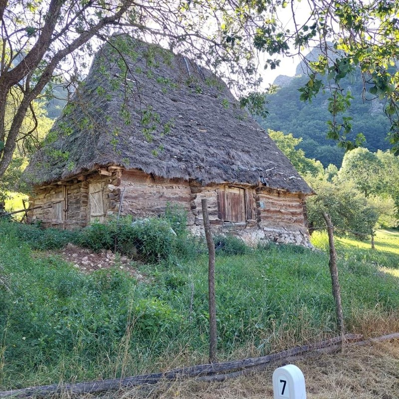 Arhiva foto