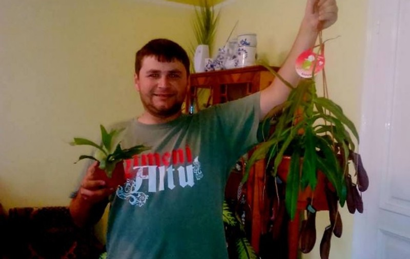 Grădina cu ciudăţenii! Colecționează plante carnivore | GALERIE FOTO