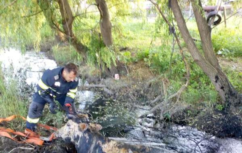 Două bovine de câte 500 de kilograme, căzute într-un canal, au fost salvate de pompieri