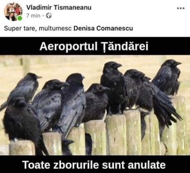 Postarea făcută de Vladimir Tismăneanu pe data de 11 aprilie 2020