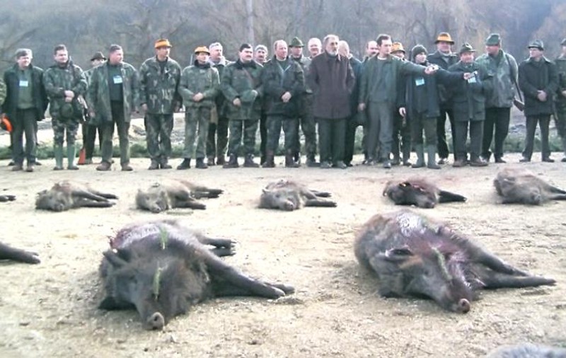 Vânătoarea de la Balc s-a încheiat. Ion Țiriac: „A fost una dintre cele mai bune recolte”