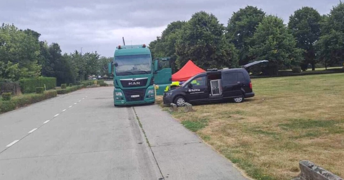 Imaginea prezintă un camion verde marca MAN și o dubă neagră de poliție oprite pe marginea unui drum, lângă un cort roșu și un spațiu verde.