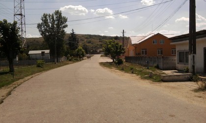Arhiva foto