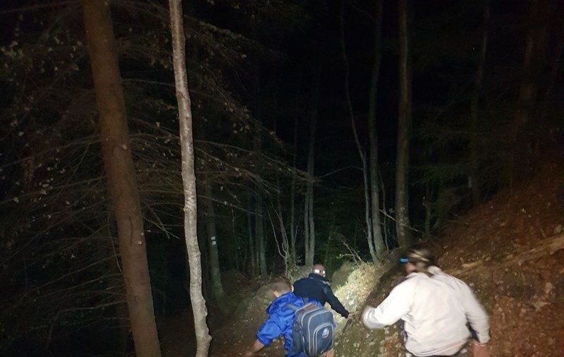 Doi turişti care s-au întâlnit cu un urs pe un traseu din Bucegi au stat o oră căţăraţi într-un brad
