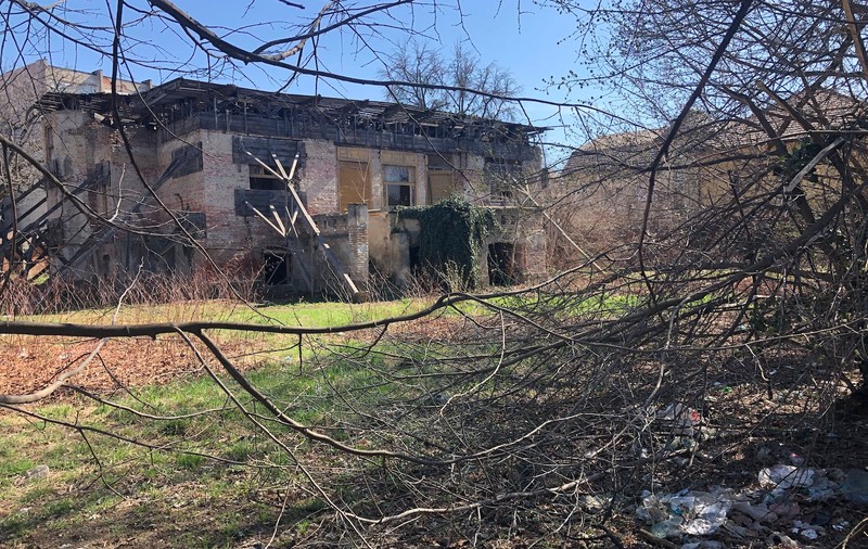 Povestea casei Mühle din Timișoara. În spatele ruinelor se află o familie fabuloasă. Wilhem Mühle a creat Parcul Central din Timișoara, fiul lui, Arpad, a contribuit la amenajarea Parcului Cișmigiu