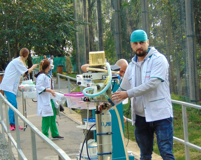 Premieră medicală la ZOO Galaţi! Tigrul a fost investigat chiar în cușcă! Desfășurare impresionantă de forțe GALERIE FOTO