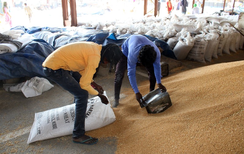 Regii cerealelor au profituri imense, iar activiștii cer suprataxarea lor. „Au pus stăpânire pe lanțurile alimentare”