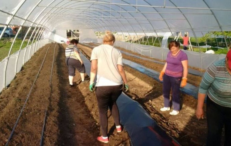 Agricultură cu fonduri europene. Cum s-au asociat romii și românii din Bistrița