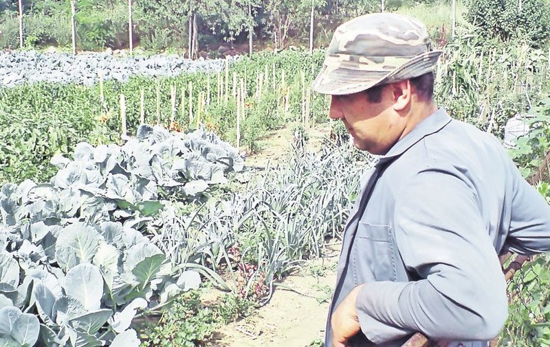 La maternitatea din Botoşani, mâncarea vine din grădina spitalului