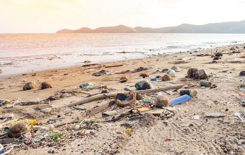 Plajă murdară deșeuri aduse de mare pe nisipul plajei