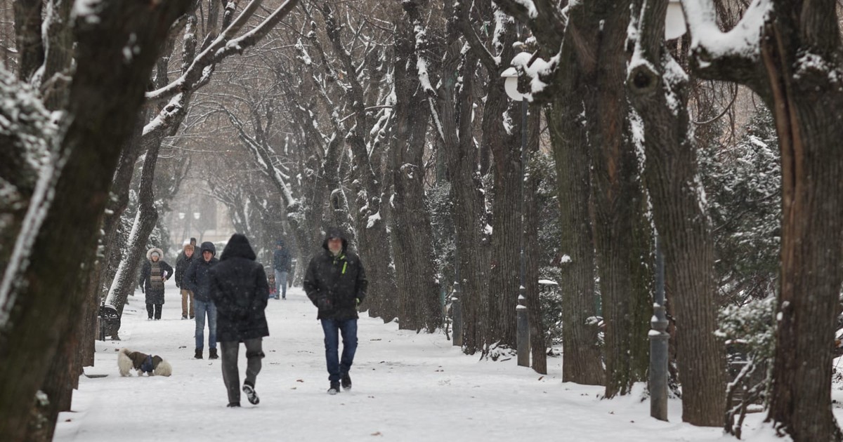 Oameni surprinși în timp ce se plimbă pe o alee acoperită de zăpadă, într-un parc