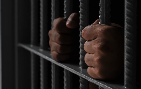 Un bărbat din Suceava a fost condamnat la doi ani de închisoare fiindcă și-a omorât câinele cu o ţapină: „A azvârlit-o în sac, în spatele casei, ca pe gunoi”