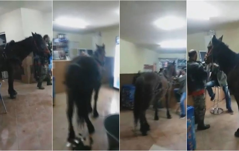 A intrat cu calul într-o cârciumă din Sighișoara. Animalul a murdărit pardoseala / VIDEO