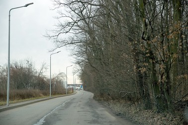 Pădurea Băneasa