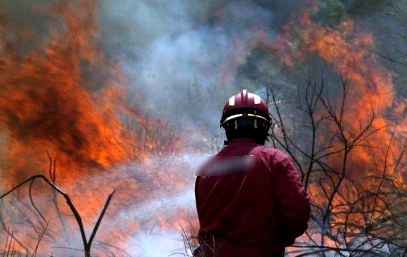 Incendiu de vegetație în Prahova. Mai multe locuințe din Boldeşti sunt în pericol