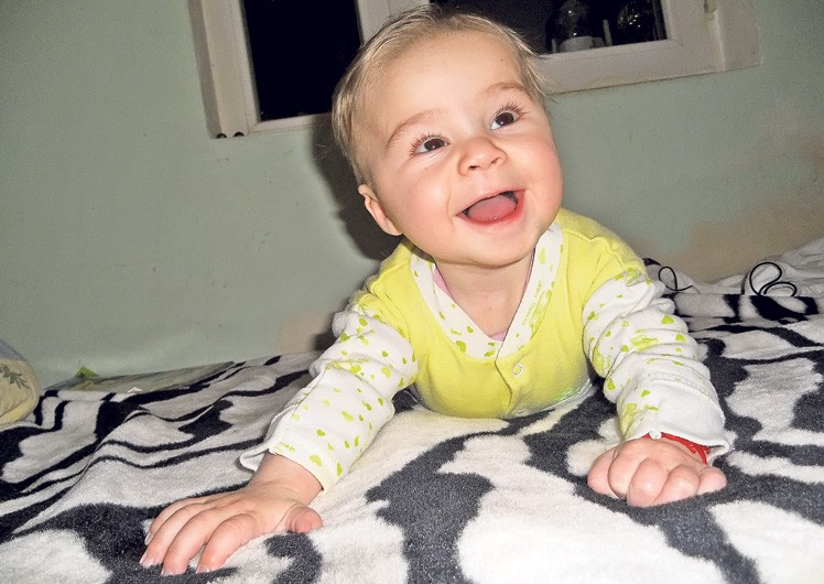 Arhiva foto