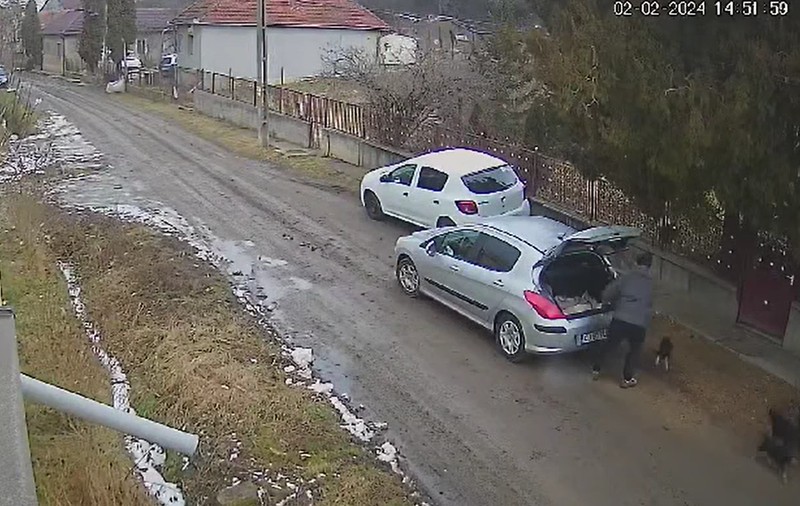 Bărbatul filmat când abandona trei pui de câine pe o stradă din localitatea clujeană Aghireş a fost găsit și amendat cu 4.000 de lei