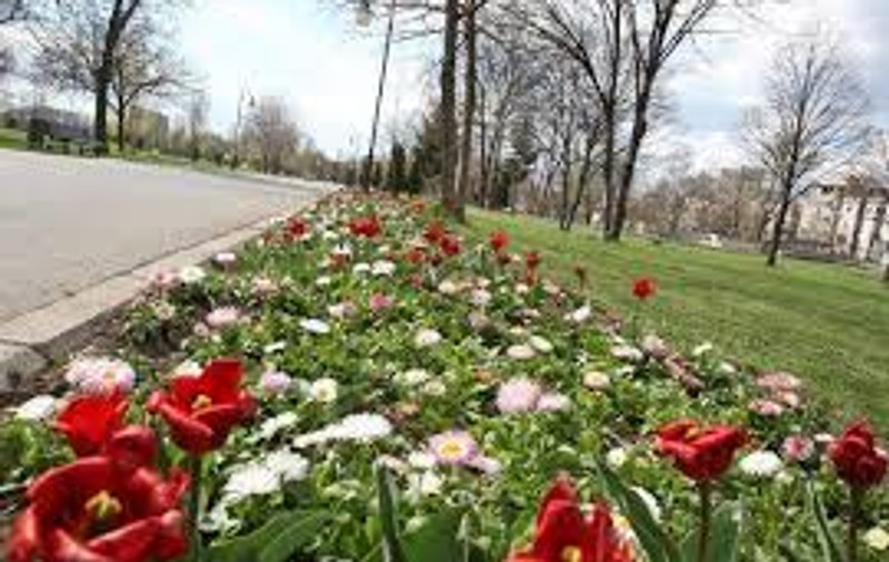 Cum se schimbă vremea în următoarele zile