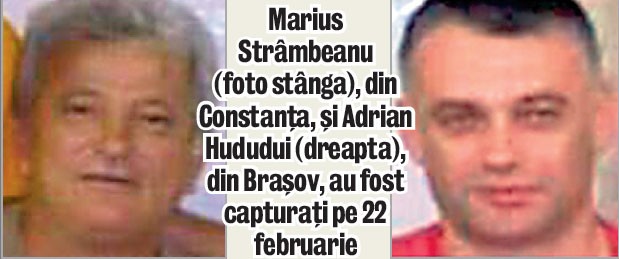 Arhiva foto
