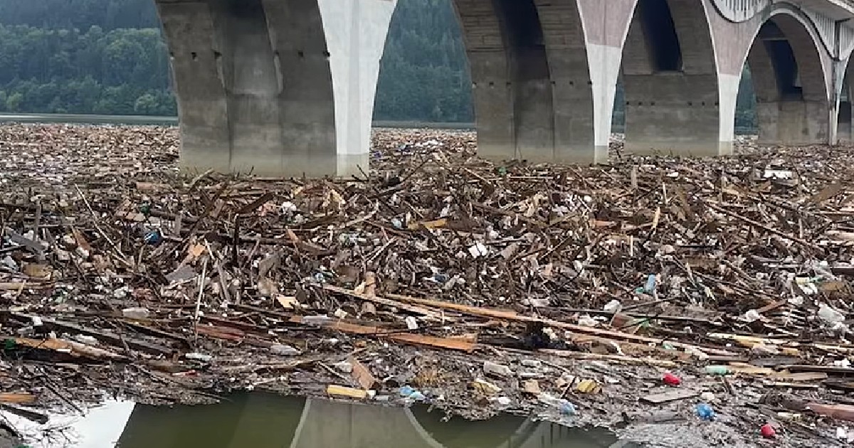 Lacul Bicaz pe al cărui luciu de apă plutesc bușteni de copaci aduși de inundațiile din Suceava