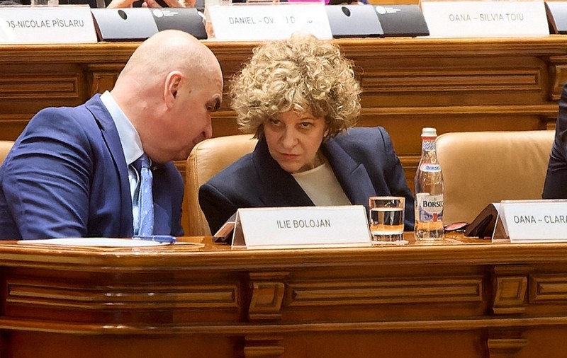 Oana Gheorghiu spune că miniștrii vor primi ghiduri despre ce au voie să facă în unele cazuri