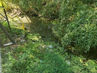 Arhiva foto