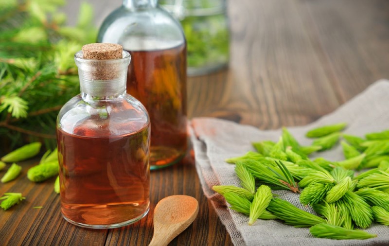 Cum faci sirop de muguri de brad acasă