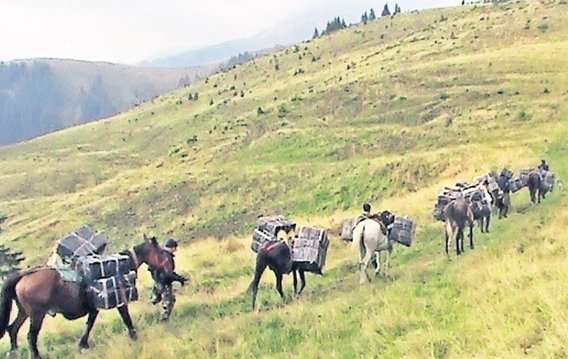 NU SUNT IMAGINI DIN FILMELE LUI SERGIU NICOLAESCU! Așa arată CARAVANA CONTRABANDIȘTILOR DIN NORDUL ȚĂRII