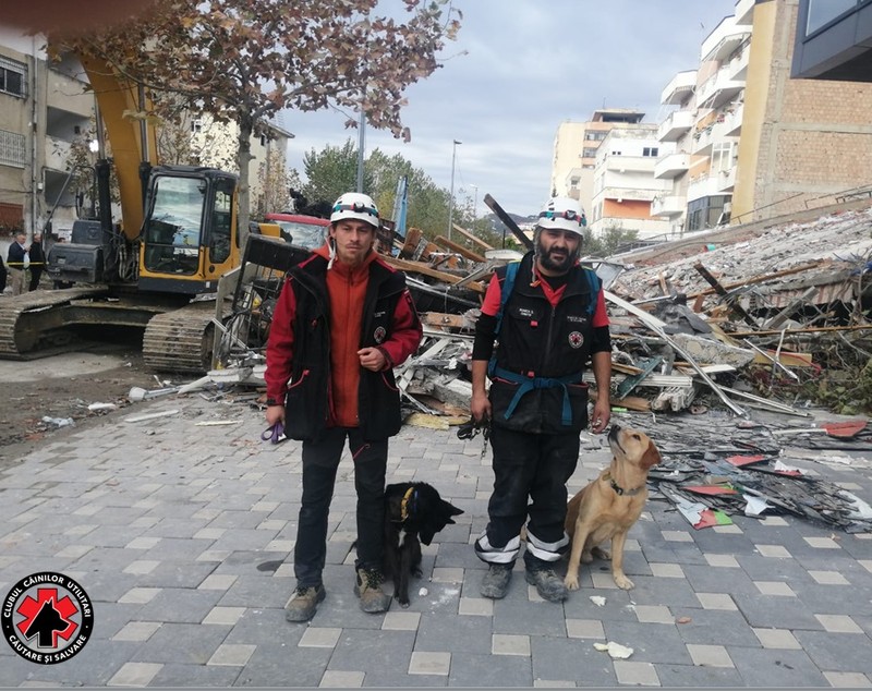 Doi câini utilitari din România și stăpânii lor participă la operațiunile de salvare din Albania