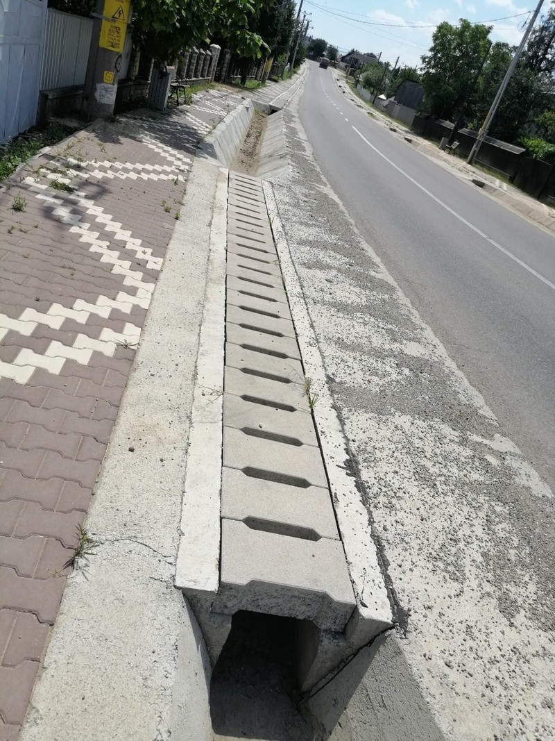Rigola de 1.500 de lei pe care a cumpărat-o un localnic din Humulești